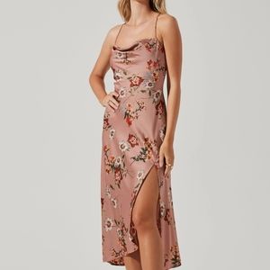 ASTR, Giai floral, M